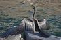 sydney-sep-2013 039